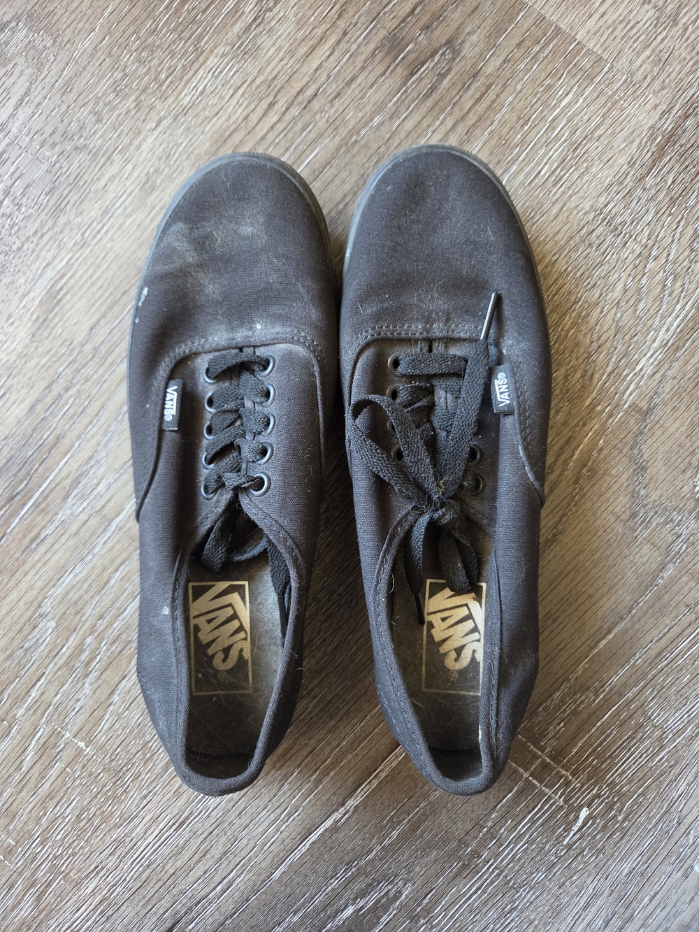 Womans Vans Classic Lace-Up Sneakers in Black 7.5